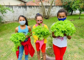 Horta do Projeto Garoçá é ferramenta de transformação ambiental e social