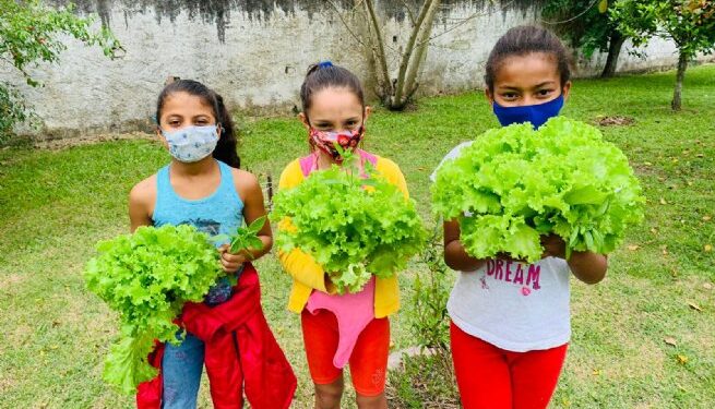 Horta do Projeto Garoçá é ferramenta de transformação ambiental e social