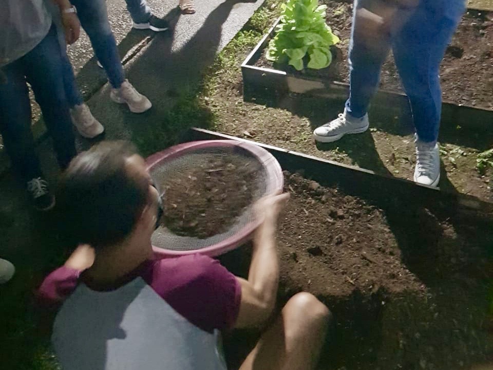 Estudantes da Etec São Sebastião montam horta comunitária na Topolândia