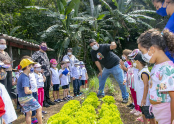 Alunos da Educação Infantil de São Sebastião visitam Viveiro Municipal