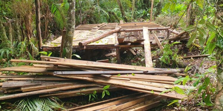 Fiscais realizam operação integrada para evitar invasões no bairro Boraceia