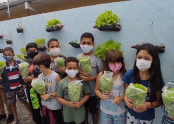 Projeto Cidadão Criança entrega hortaliças a famílias referenciadas