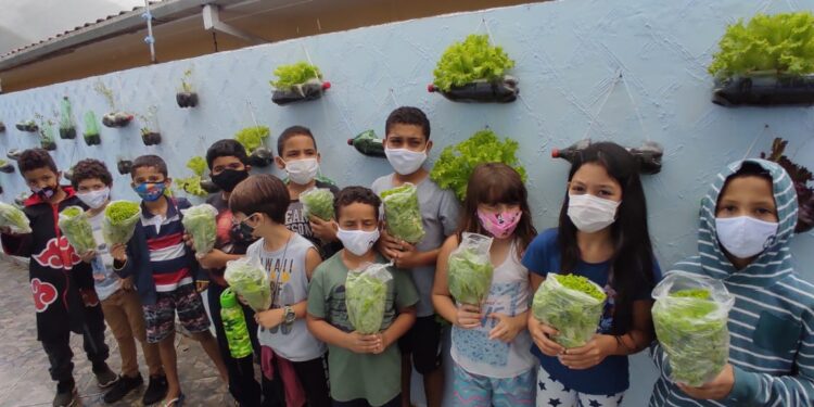 Projeto Cidadão Criança entrega hortaliças a famílias referenciadas