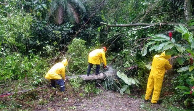 Defesa Civil de São Sebastião atende a ocorrências devido a chuvas constantes e mantém estado de atenção