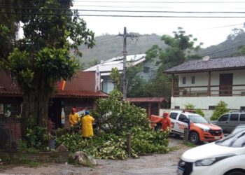 Defesa Civil de São Sebastião registra baixo número de ocorrências até o momento