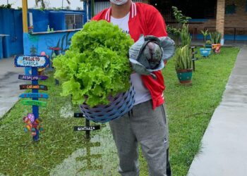 Verduras e frutas produzidas em sua horta integram o cardápio alimentar do Projeto Garoçá