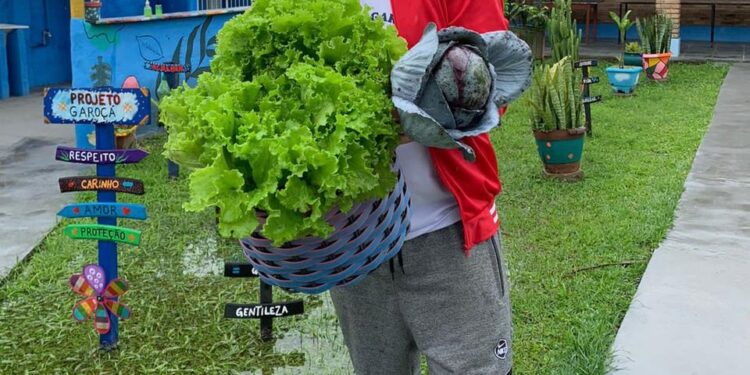 Verduras e frutas produzidas em sua horta integram o cardápio alimentar do Projeto Garoçá