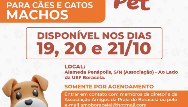 Programa de castração gratuita Amigo Pet estará em Boraceia de 19 a 21 de outubro