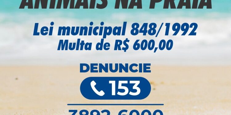 Prefeitura de São Sebastião informa que levar animais à praia pode gerar multa de R$ 600