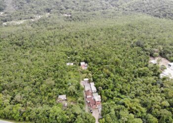 Fiscalização Ambiental completa 29 anos de serviços prestados ao cidadão sebastianense