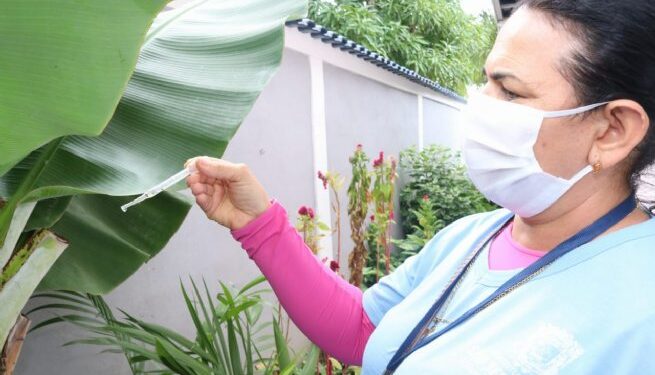 Prefeitura de São Sebastião publica lei que ajusta piso salarial de agentes de combate a endemias do município