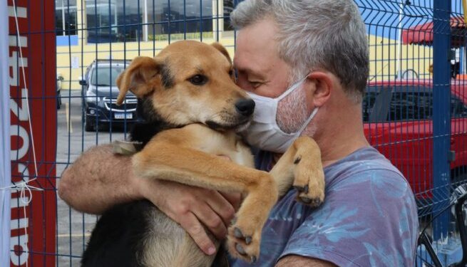 Feira de Adoção de Cães continua nesta sexta-feira (5) no Centro de São Sebastião