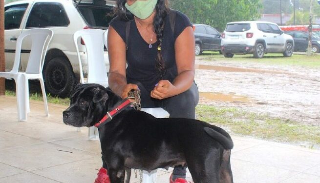 Prefeitura de São Sebastião realiza mais de 2 mil castrações gratuitas este ano