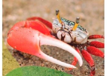 Belezas naturais de São Sebastião são expostas no metrô de São Paulo