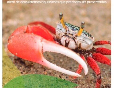 Belezas naturais de São Sebastião são expostas no metrô de São Paulo