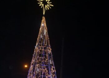 Prefeitura instala 13 árvores de Natal de Costa Norte a Costa Sul de São Sebastião