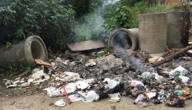 Prefeitura de São Sebastião intensifica autuações a quem joga lixo nas ruas e vias públicas