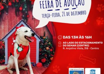 Prefeitura realiza Feira de Adoção de Cães nesta terça-feira (21) no Centro de São Sebastião