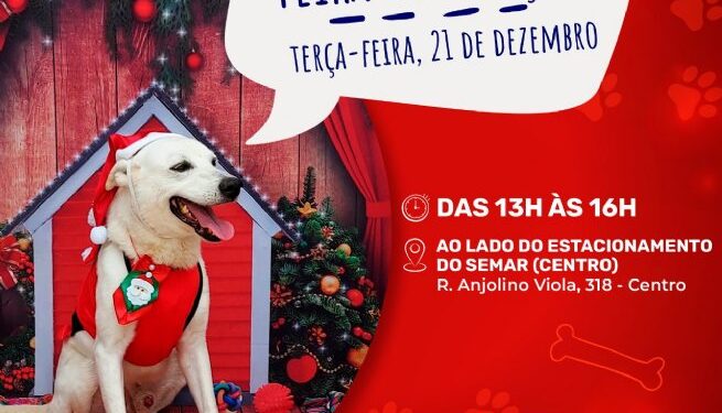Prefeitura realiza Feira de Adoção de Cães nesta terça-feira (21) no Centro de São Sebastião