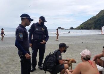 Prefeitura realiza operação integrada de fiscalização em praias de São Sebastião