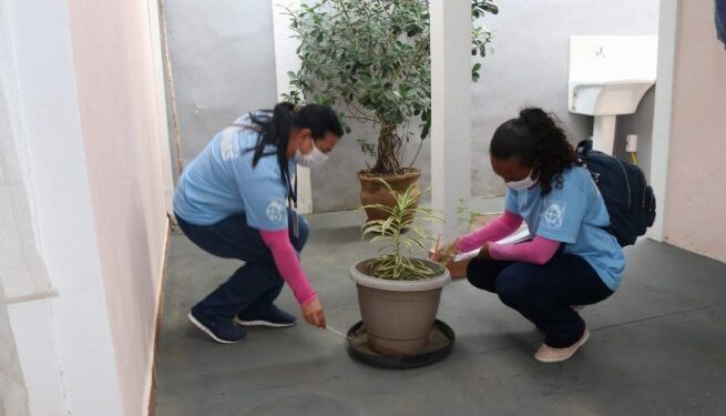 Prefeitura de São Sebastião solicita a munícipes que intensifiquem medidas de combate à dengue no verão