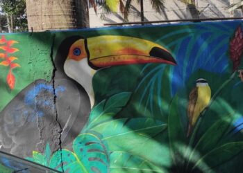 Prefeitura executa serviços de pintura em vielas da Região Central