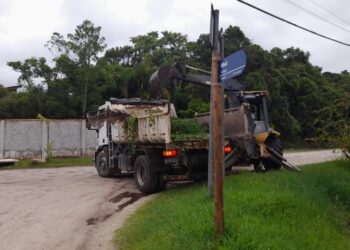 Operações de serviços de limpeza continuam reforçadas em todo o município