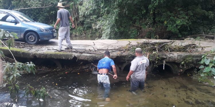 Trabalho preventivo às enchentes continua em toda São Sebastião