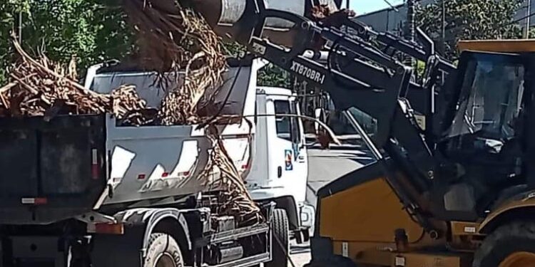 Prefeitura executa serviços de manutenção e conservação urbana no bairro Topolândia e região