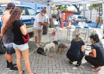 Prefeitura realiza Feira de Adoção de Cães e Gatos nesta sexta-feira (25)