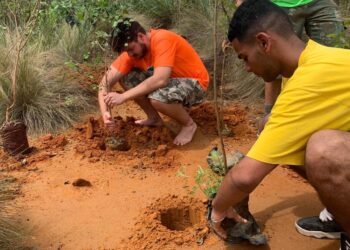Prefeitura de São Sebastião coletou cerca de 100kg de pilhas e baterias, descartados sem prejudicar o meio ambiente