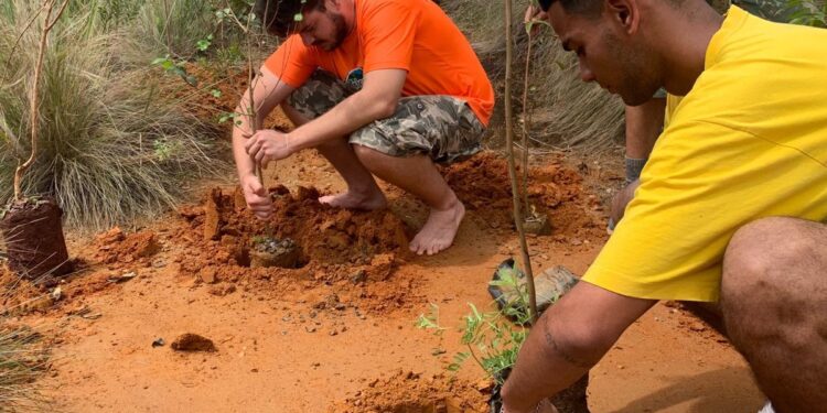 Prefeitura de São Sebastião coletou cerca de 100kg de pilhas e baterias, descartados sem prejudicar o meio ambiente