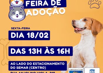 Prefeitura de São Sebastião realiza Feira de Adoção de Cães nesta sexta-feira (18) no Centro
