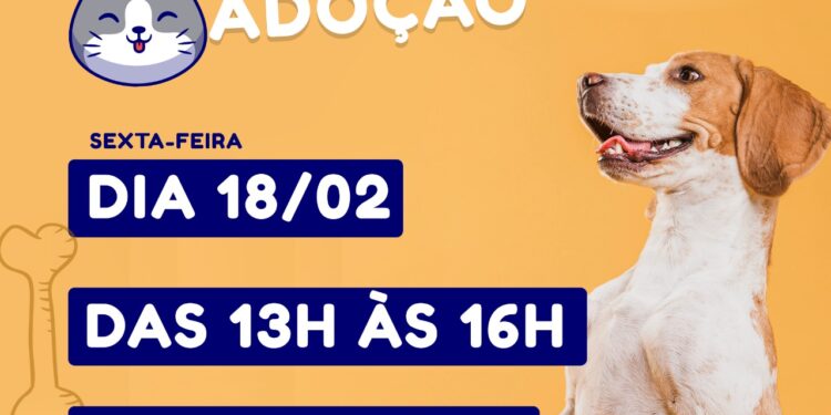 Prefeitura de São Sebastião realiza Feira de Adoção de Cães nesta sexta-feira (18) no Centro