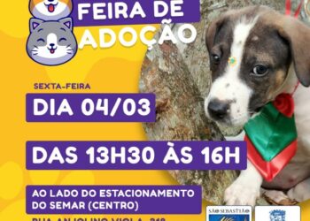 Nesta sexta-feira (4) haverá Feira de Adoção de Cães e Gatos no Centro     