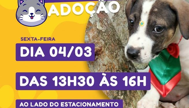 Nesta sexta-feira (4) haverá Feira de Adoção de Cães e Gatos no Centro     