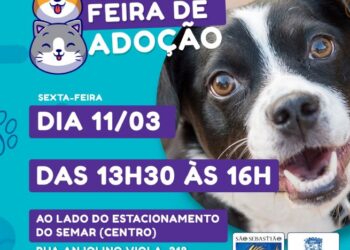 Amanhã (4) haverá nova edição da Feira de Adoção de Cães e Gatos no Centro  
