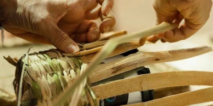 Dia do Caiçara é celebrado com extensa programação cultural em São Sebastião