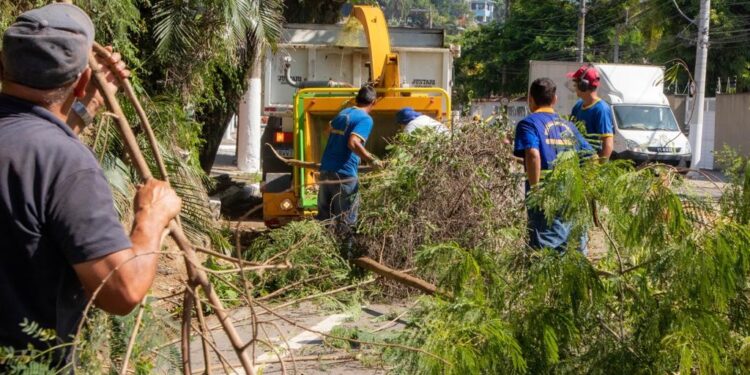 Prefeitura realiza serviços de podas de árvores no bairro Praia Deserta   