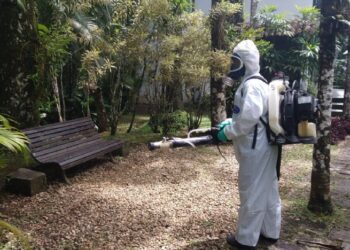 Prefeitura de São Sebastião intensifica ações de combate à dengue, especialmente na Barra do Sahy e Vila Sahy