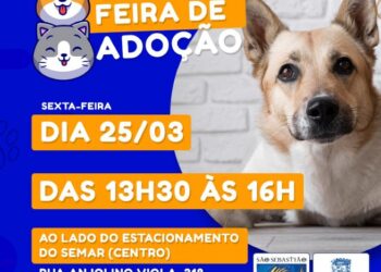 Prefeitura promove Feira de Adoção de Cães e Gatos esta tarde (25), no Centro