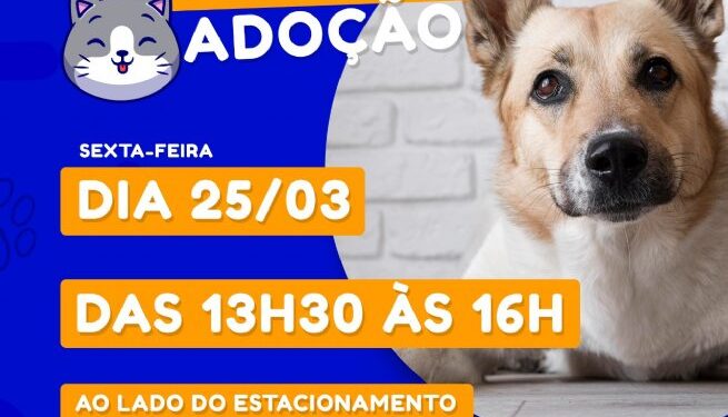 Prefeitura promove Feira de Adoção de Cães e Gatos esta tarde (25), no Centro