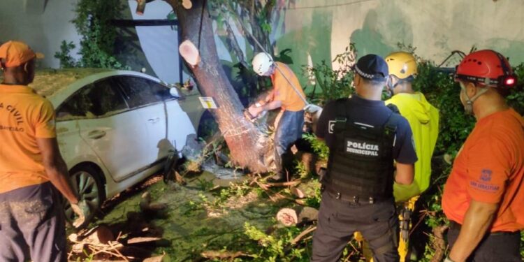 Tempestade causa pontos de alagamentos e quedas de árvores em São Sebastião