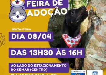 Prefeitura promove Feira de Adoção de Cães e Gatos hoje (8), no Centro