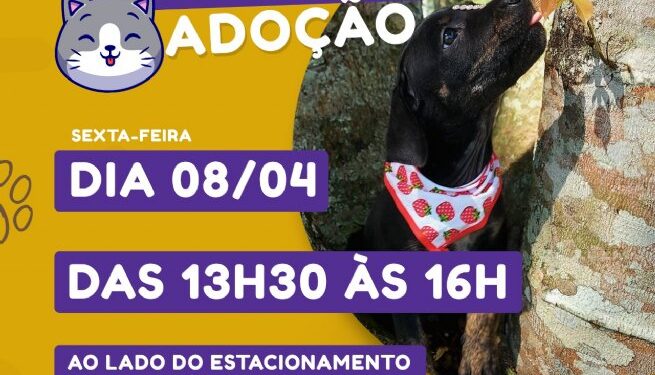 Prefeitura promove Feira de Adoção de Cães e Gatos hoje (8), no Centro
