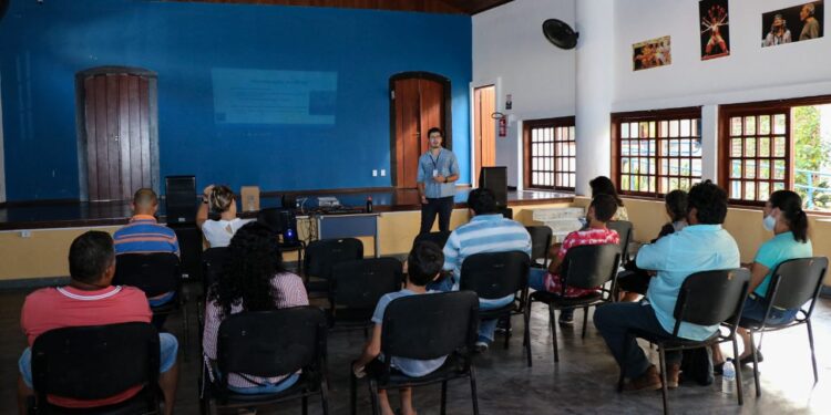 Prefeitura realiza curso gratuito de Produtos de Abelhas e Derivados