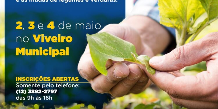 Prefeitura abre inscrições para o curso gratuito de ‘Viveirista’