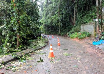 Estrada do Cascalho em Boiçucanga terá que receber obra de contenção após deslizamento de terra durante as chuvas
