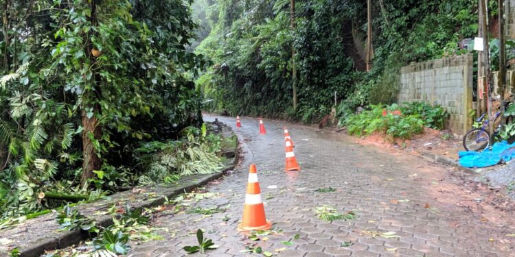Estrada do Cascalho em Boiçucanga terá que receber obra de contenção após deslizamento de terra durante as chuvas