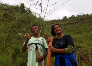 Alunos EM Prof.ª Edileusa Brasil concorrem a prêmios na Olimpíada Brasileira de Restauração de Ecossistemas   